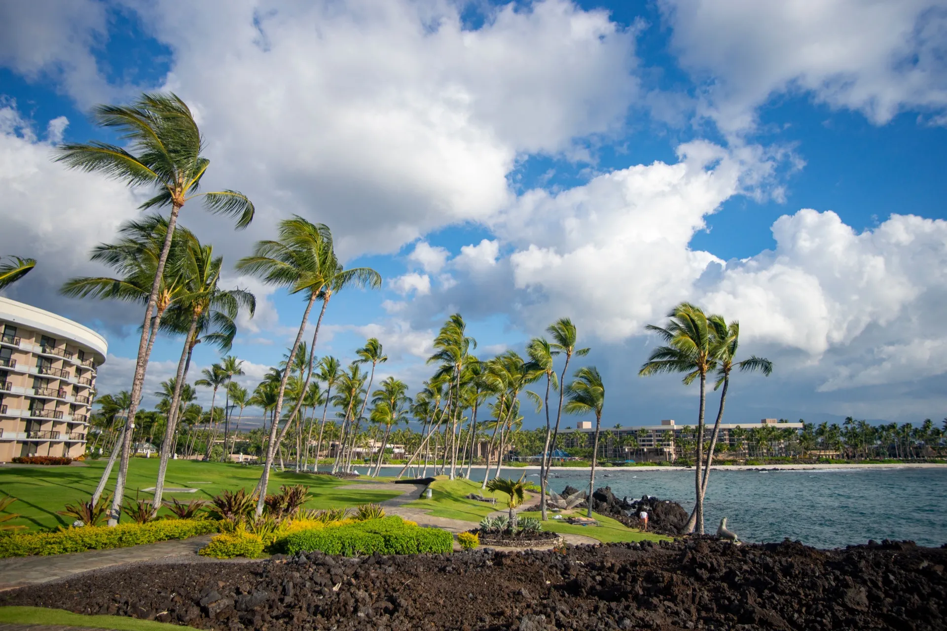 ハワイ島でおすすめの高級ホテル15選｜人気アクティビティもチェック